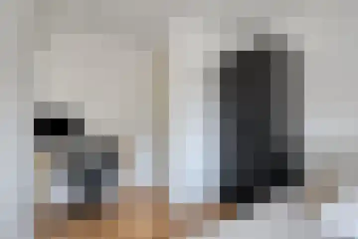 Eusebiusbinnensingel 21 Arnhem thumbnail 23