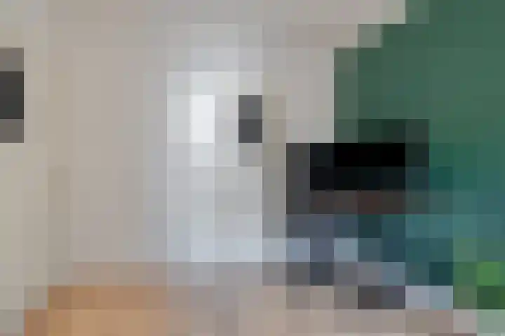 Eusebiusbinnensingel 21 Arnhem thumbnail 25