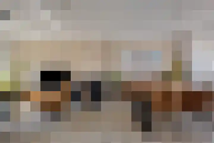 Eusebiusbinnensingel 21 Arnhem thumbnail 4