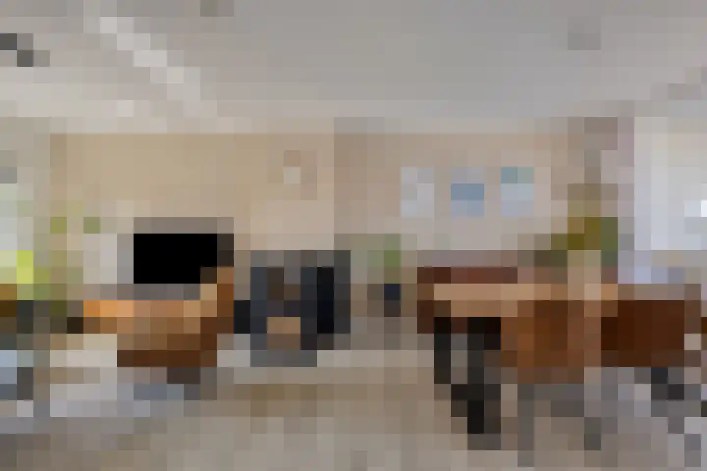 Eusebiusbinnensingel 21 Arnhem thumbnail 4