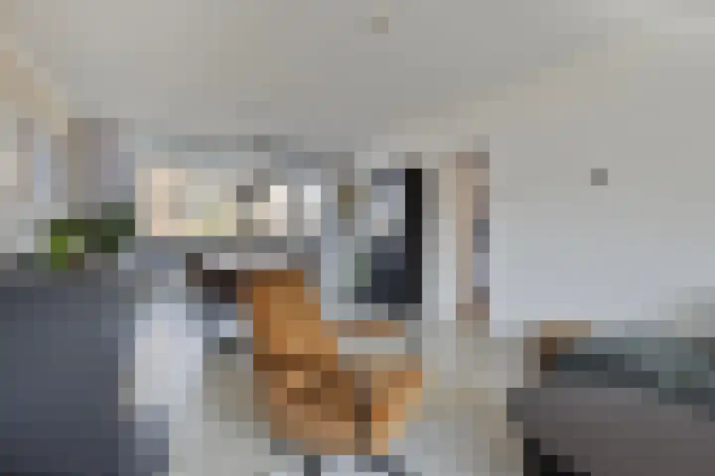 Eusebiusbinnensingel 21 Arnhem thumbnail 6