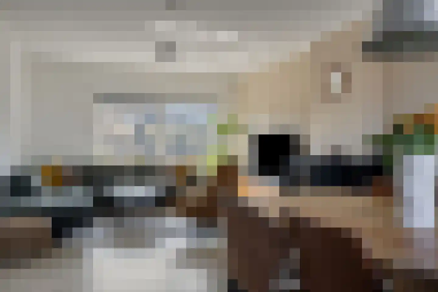 Eusebiusbinnensingel 21 Arnhem thumbnail 9