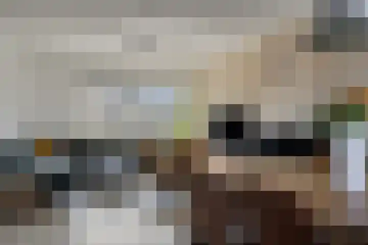 Eusebiusbinnensingel 21 Arnhem thumbnail 9