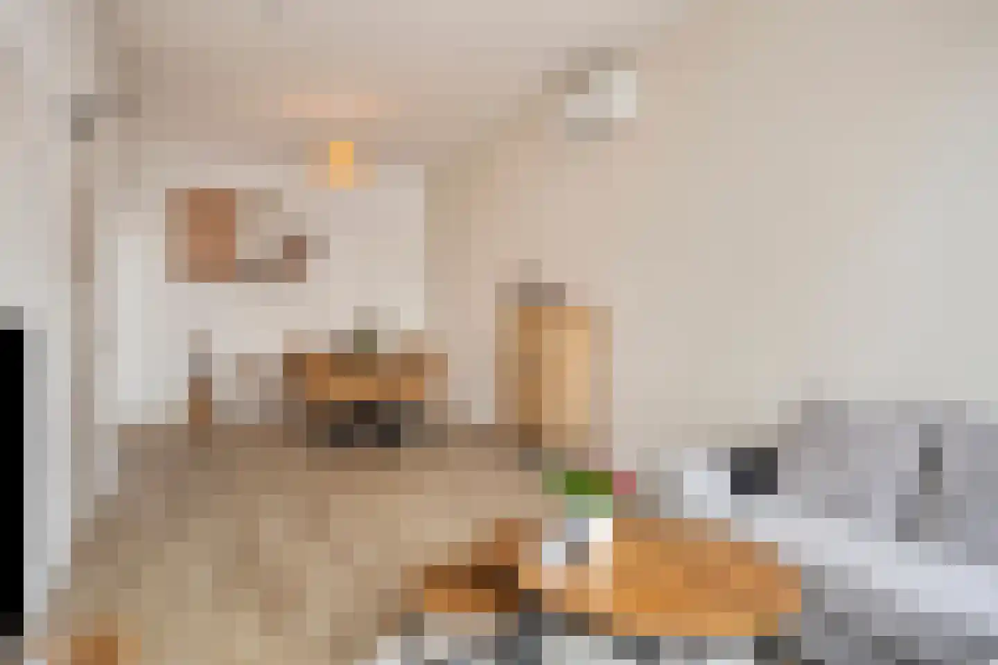Eusebiusbuitensingel 15 Arnhem thumbnail 10