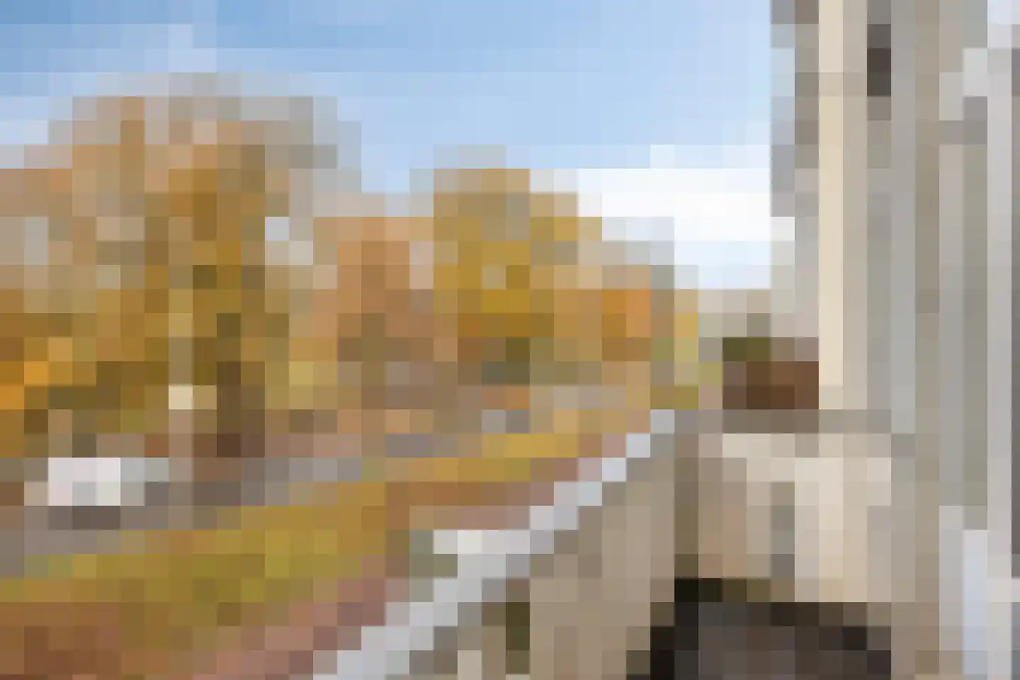 Eusebiusbuitensingel 15 Arnhem thumbnail 8
