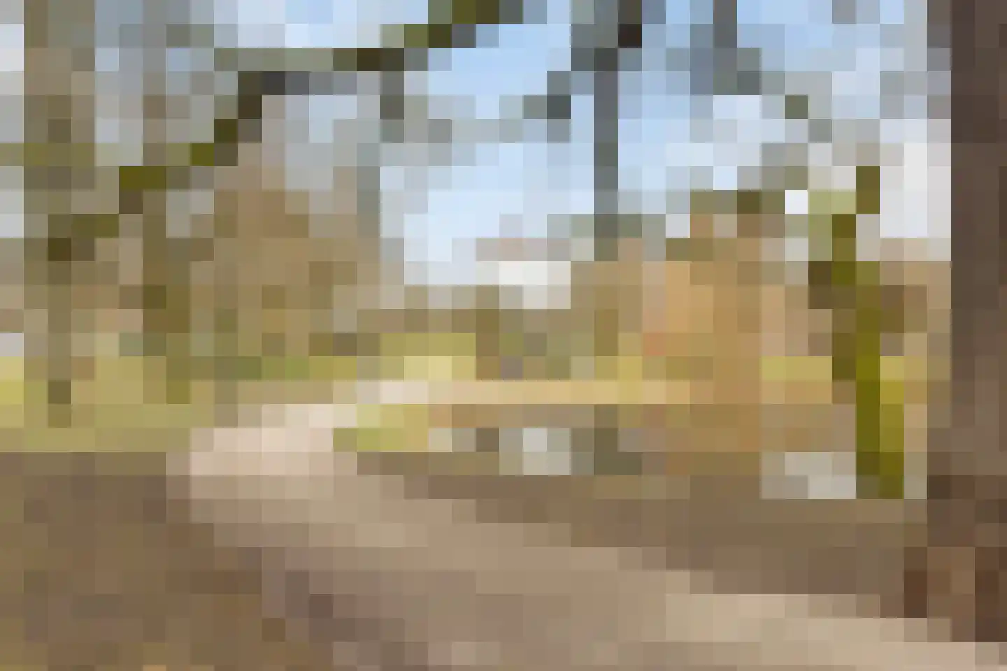 Eusebiusbuitensingel 20 1 Arnhem thumbnail 31