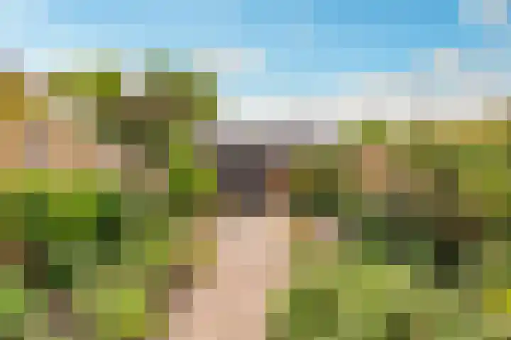 Eusebiusbuitensingel 20 17 Arnhem thumbnail 22