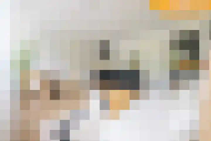 Eusebiusbuitensingel 20 17 Arnhem thumbnail 4