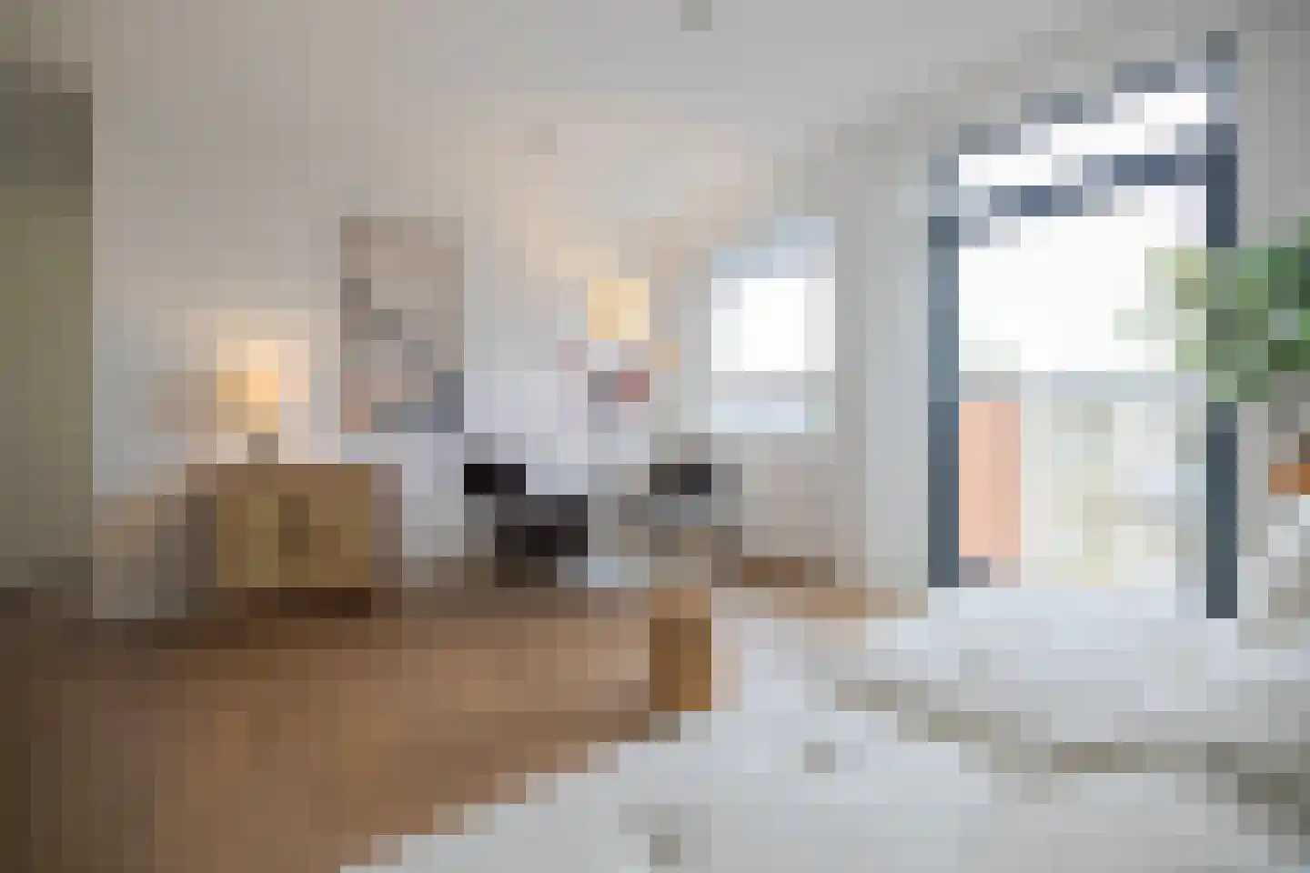 Eusebiusbuitensingel 20 18 Arnhem thumbnail 13