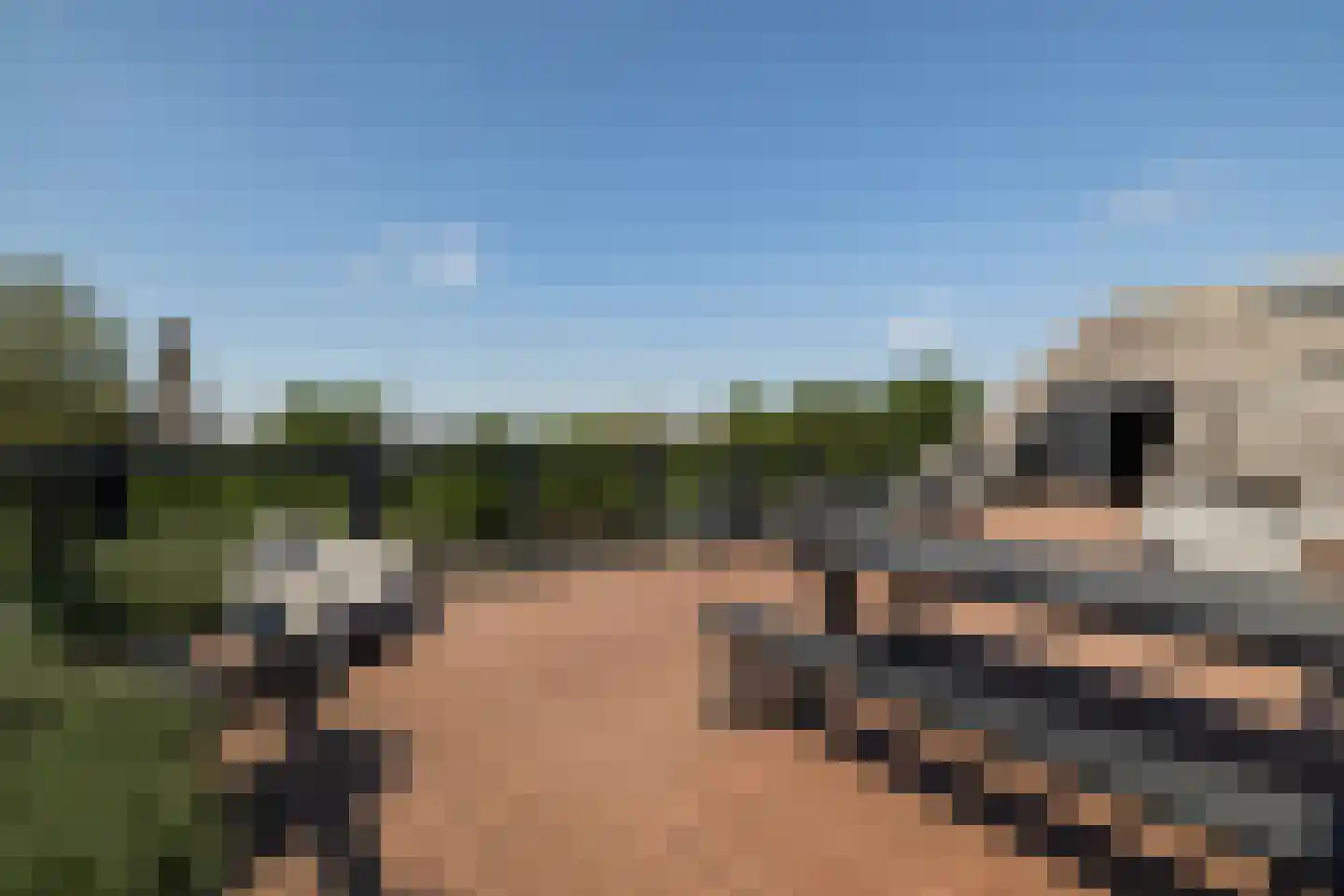Eusebiusbuitensingel 20 18 Arnhem thumbnail 5