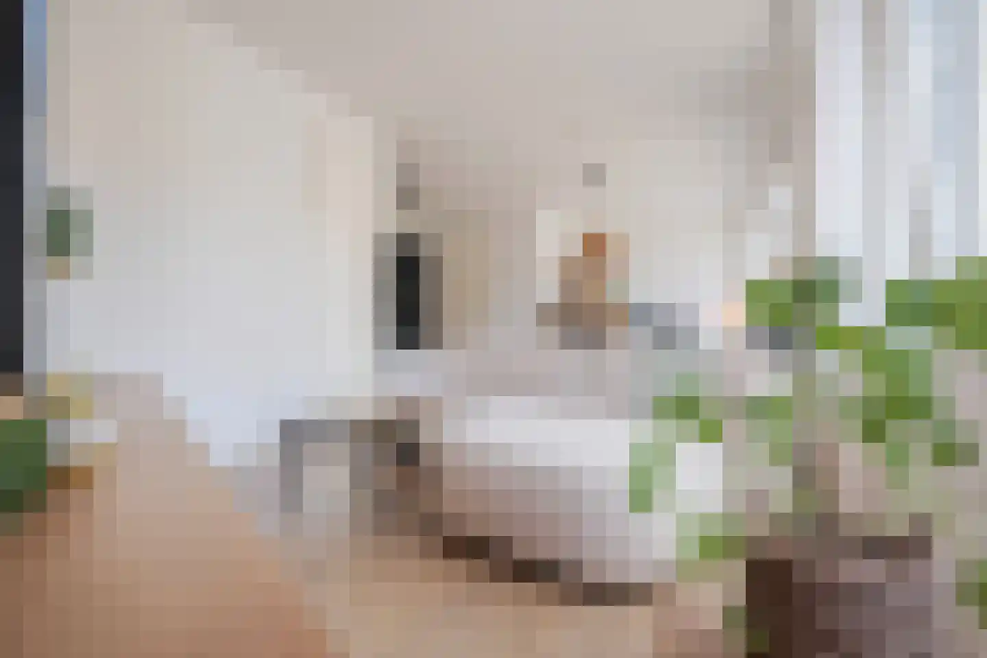 Eusebiusbuitensingel 20 2 Arnhem thumbnail 15