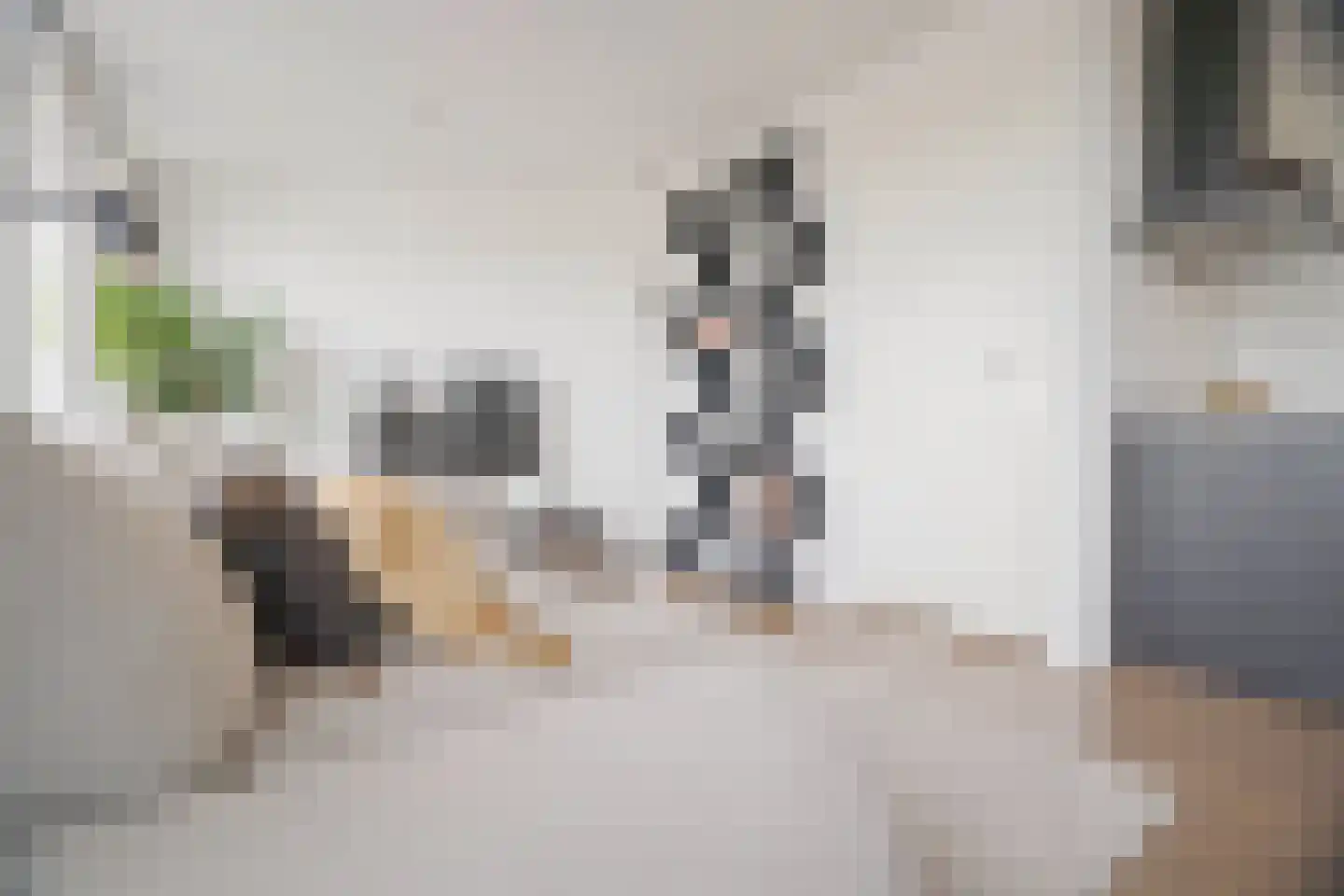 Eusebiusbuitensingel 20 20 Arnhem thumbnail 11