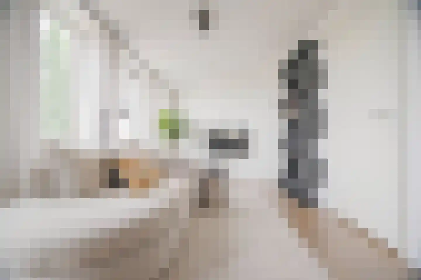 Eusebiusbuitensingel 20 20 Arnhem thumbnail 12
