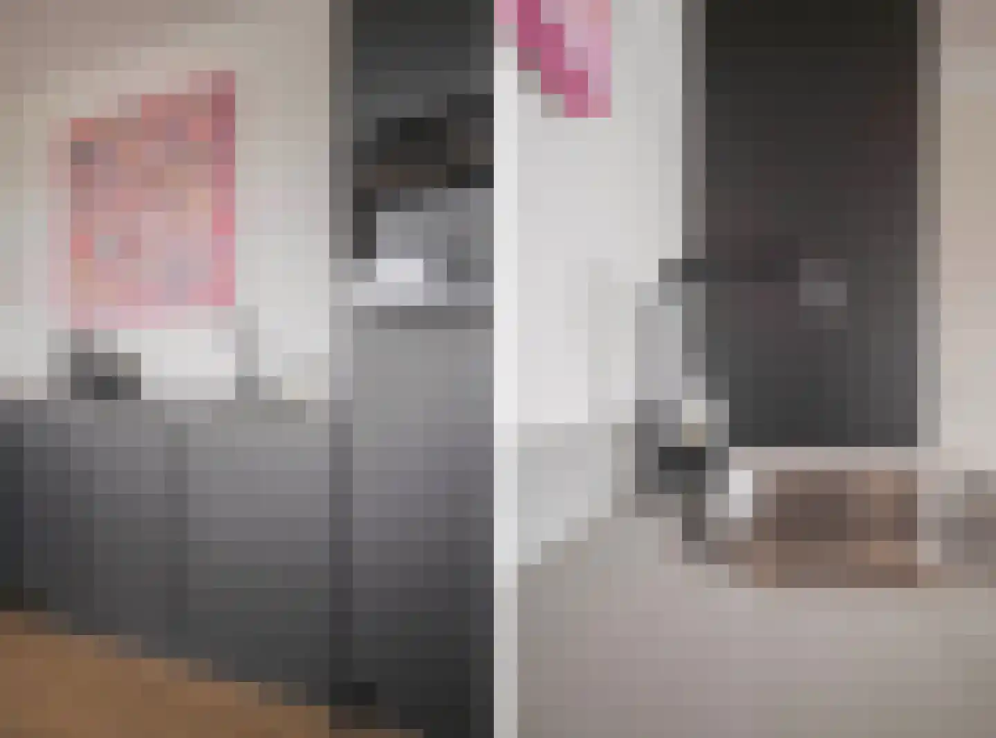 Eusebiusbuitensingel 20 20 Arnhem thumbnail 19