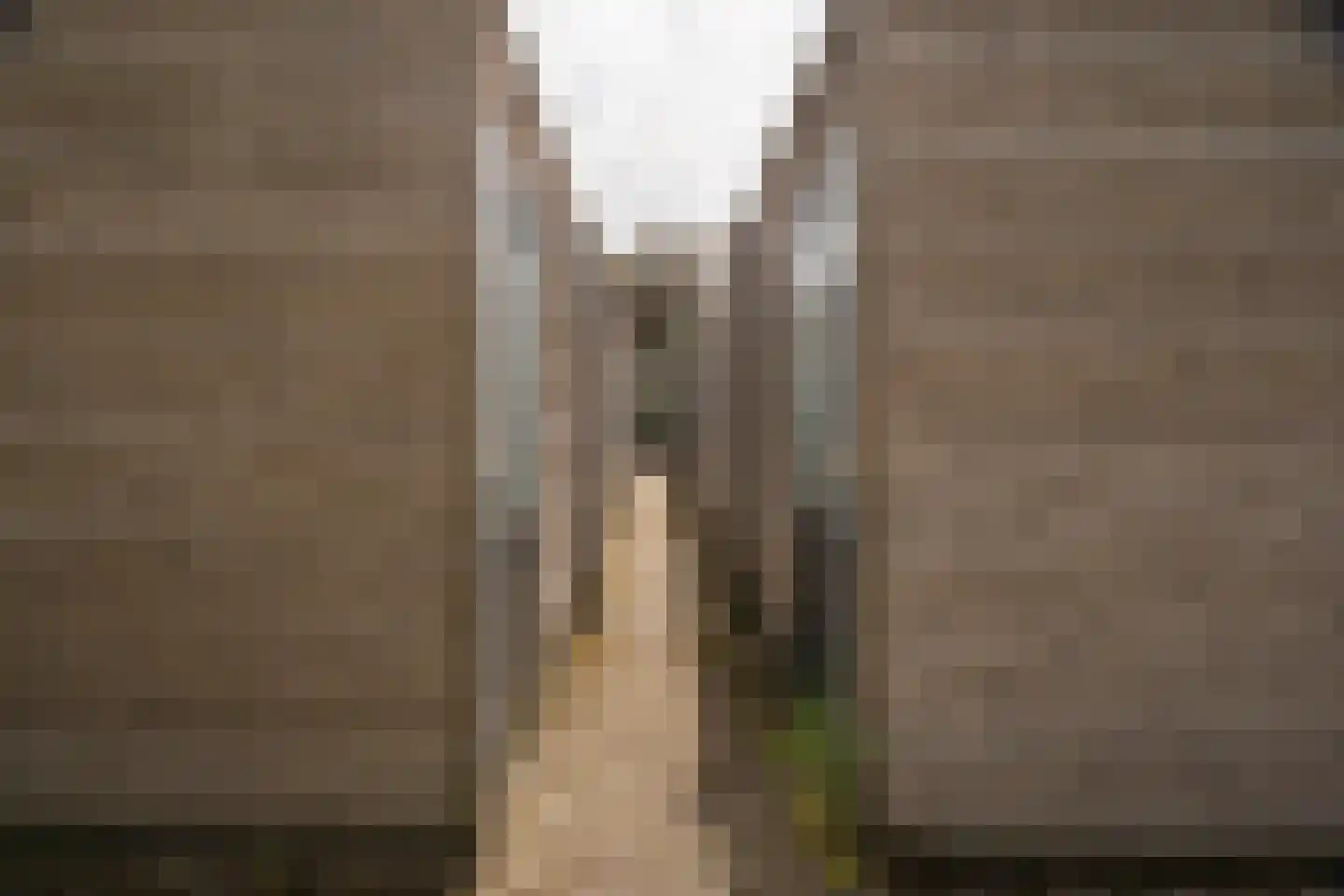 Eusebiusbuitensingel 20 20 Arnhem thumbnail 38