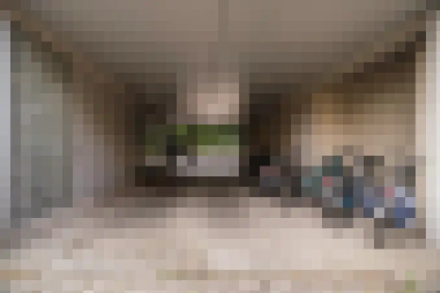 Eusebiusbuitensingel 20 20 Arnhem thumbnail 41