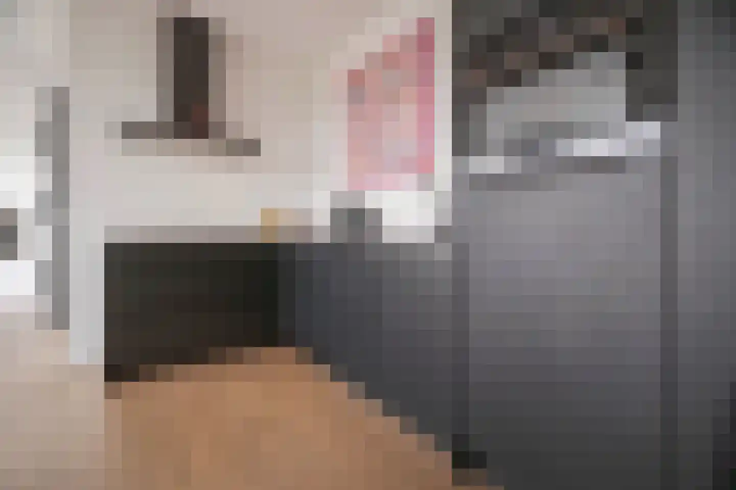Eusebiusbuitensingel 20 20 Arnhem thumbnail 5