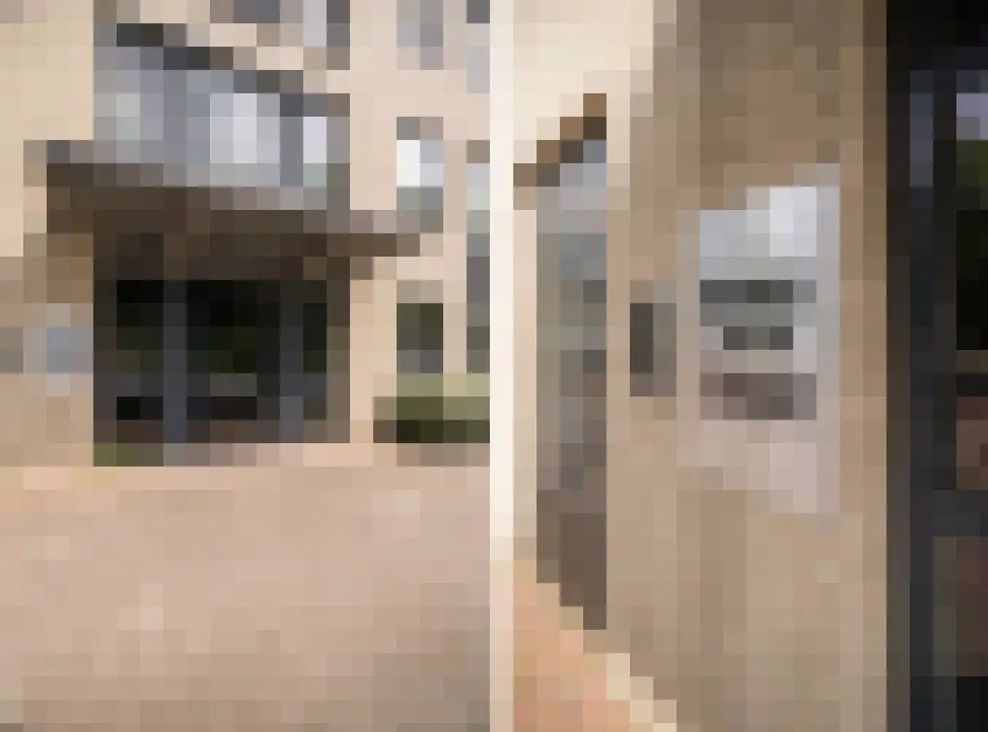 Eusebiusbuitensingel 20 20 Arnhem thumbnail 8