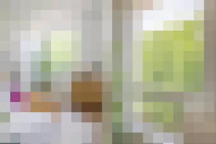 Eusebiusbuitensingel 20 22 Arnhem thumbnail 12