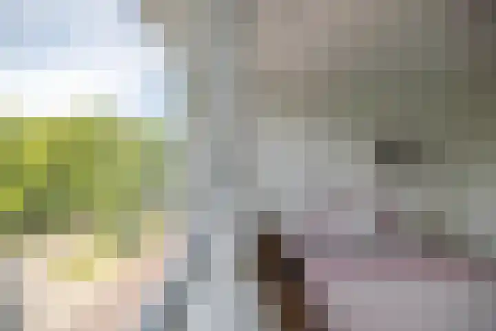 Eusebiusbuitensingel 20 22 Arnhem thumbnail 17