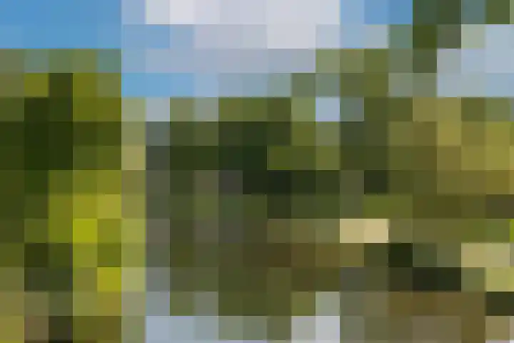 Eusebiusbuitensingel 20 22 Arnhem thumbnail 25