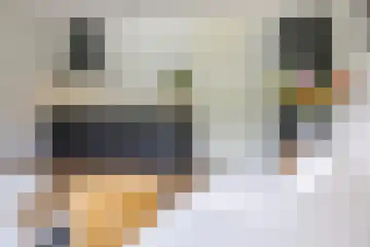Eusebiusbuitensingel 20 24 Arnhem thumbnail 4