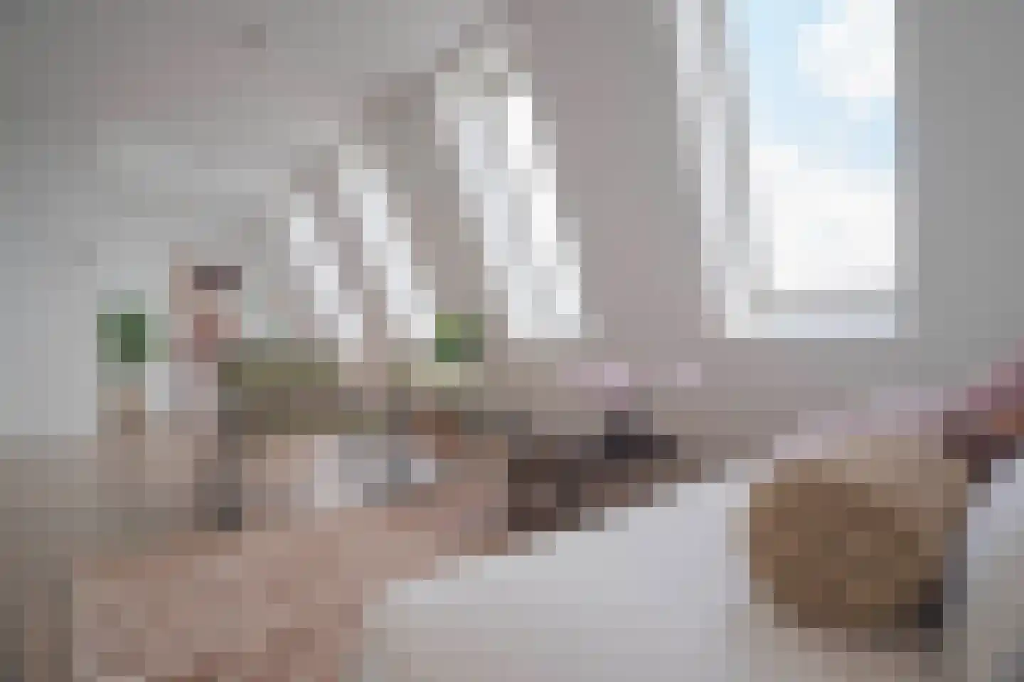 Eusebiusbuitensingel 20 26 Arnhem thumbnail 11