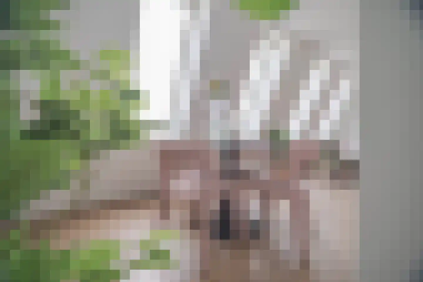 Eusebiusbuitensingel 20 26 Arnhem thumbnail 13