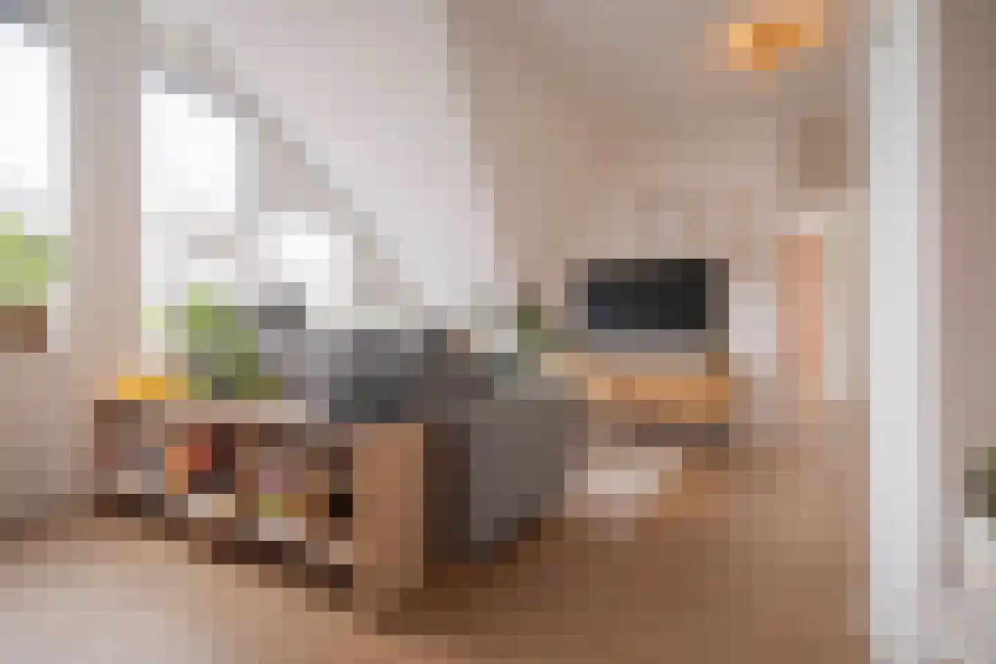 Eusebiusbuitensingel 20 29 Arnhem thumbnail 13