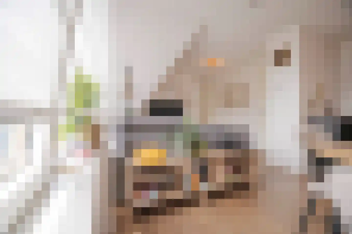 Eusebiusbuitensingel 20 29 Arnhem thumbnail 14