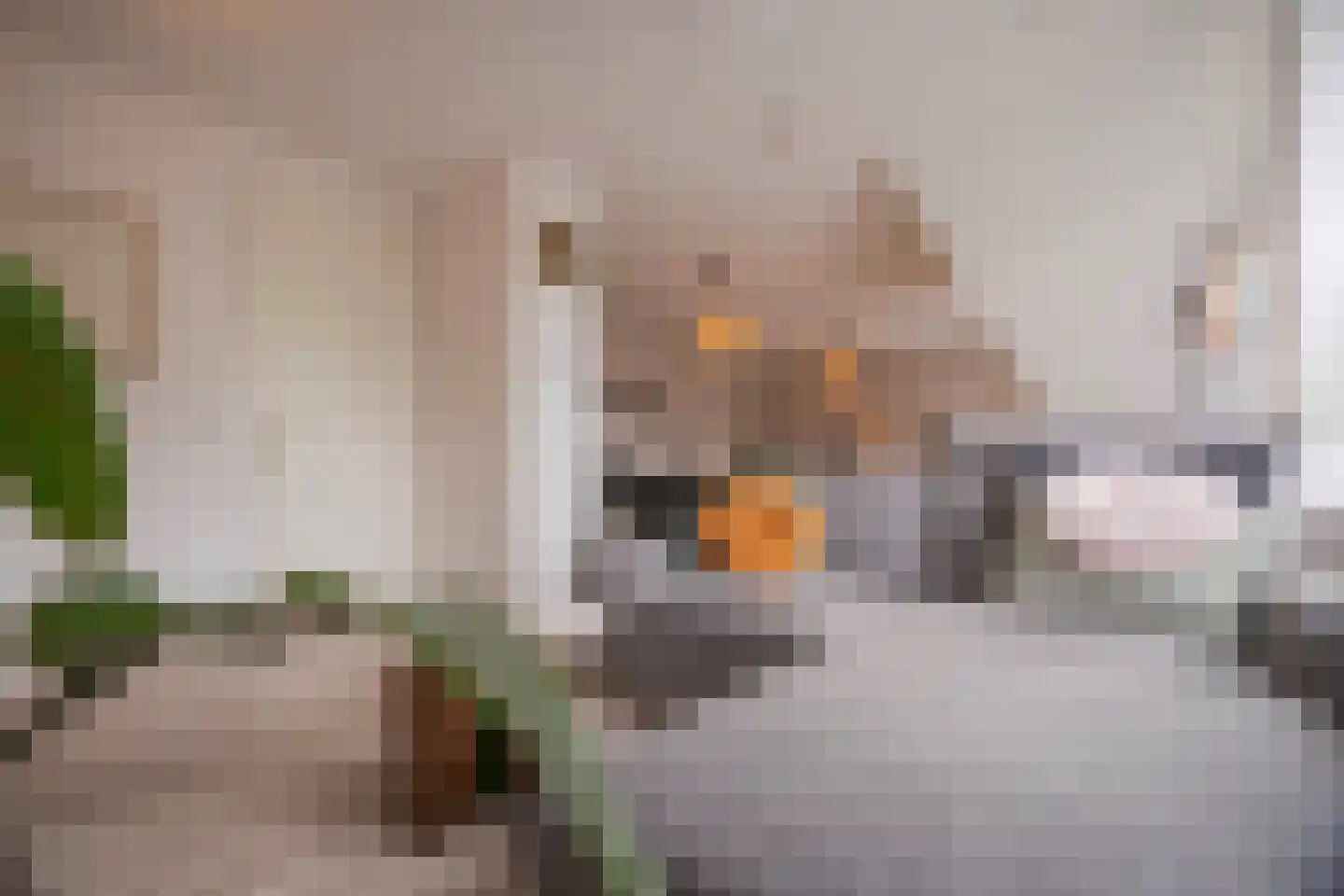 Eusebiusbuitensingel 20 29 Arnhem thumbnail 16