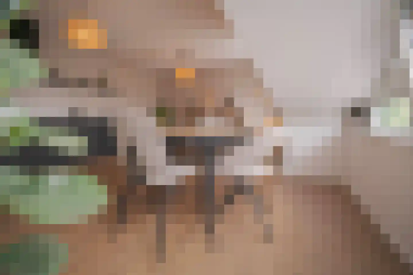 Eusebiusbuitensingel 20 29 Arnhem thumbnail 17