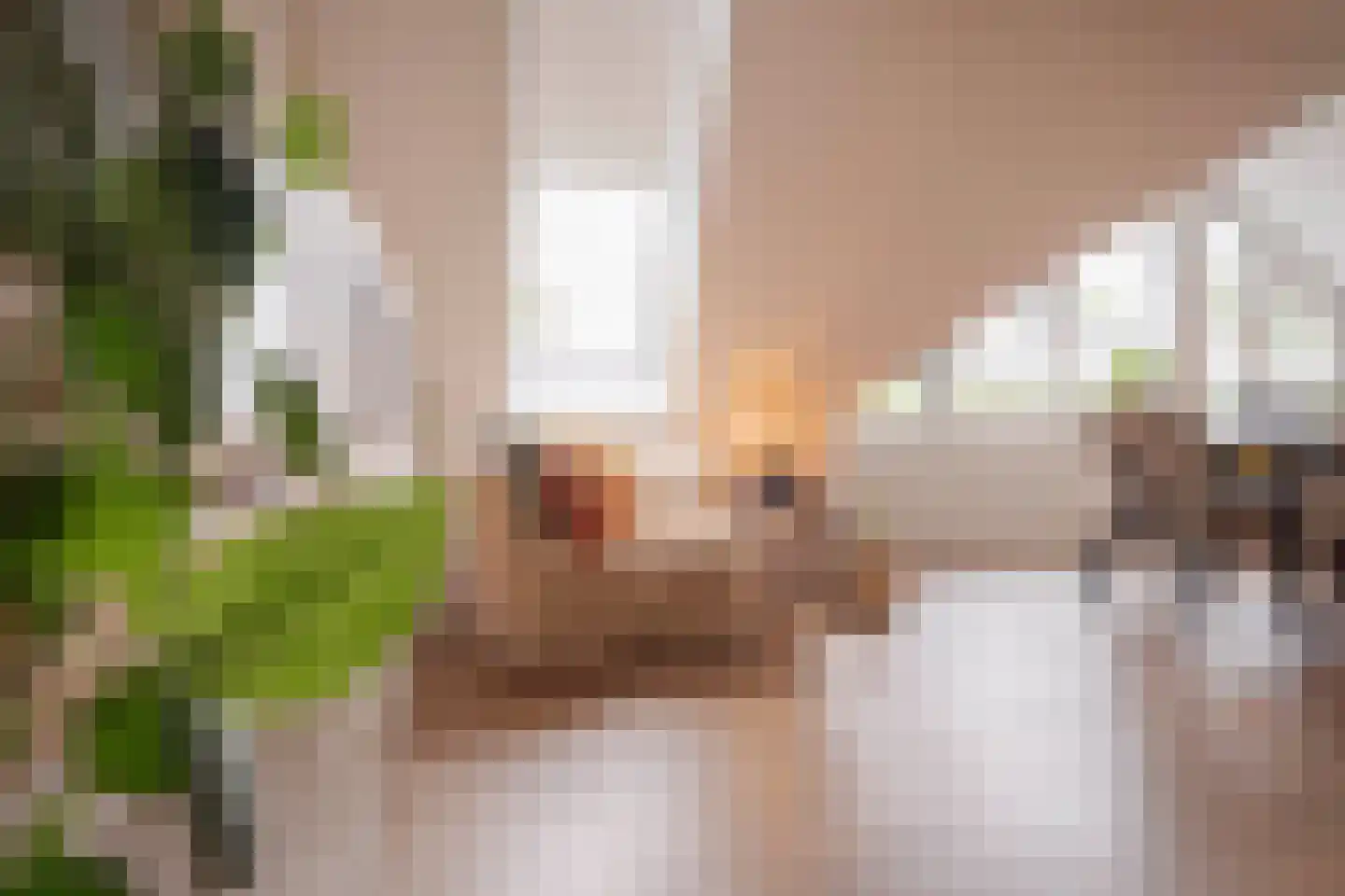 Eusebiusbuitensingel 20 29 Arnhem thumbnail 21