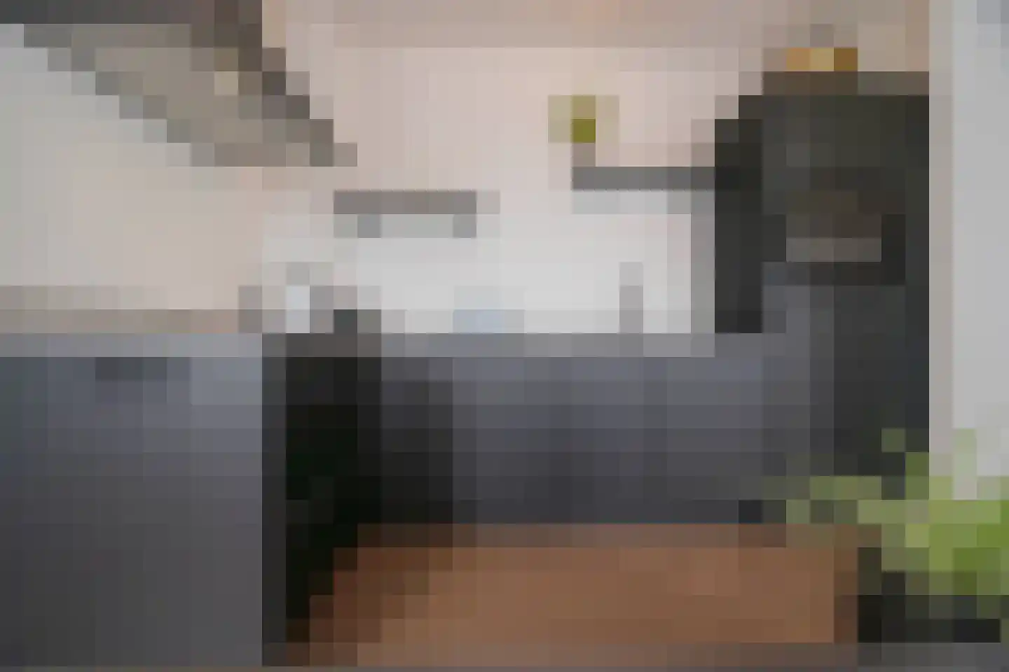 Eusebiusbuitensingel 20 31 Arnhem thumbnail 19