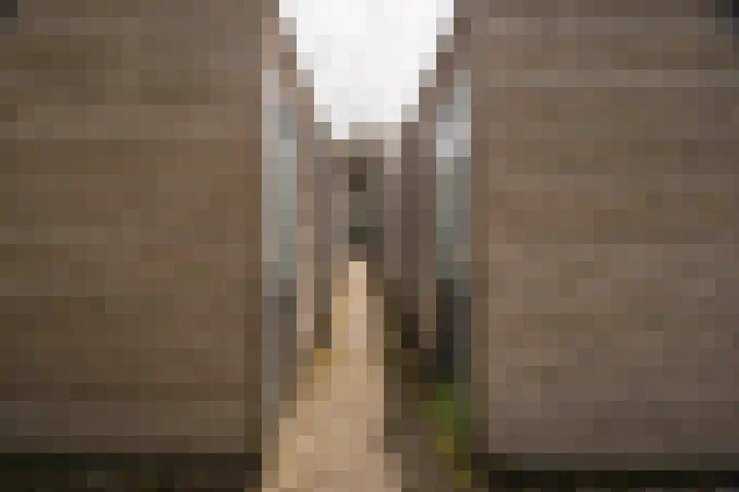 Eusebiusbuitensingel 20 31 Arnhem thumbnail 35