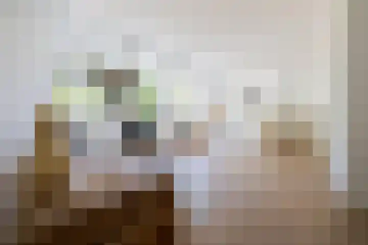 Eusebiusbuitensingel 20 4 Arnhem thumbnail 12