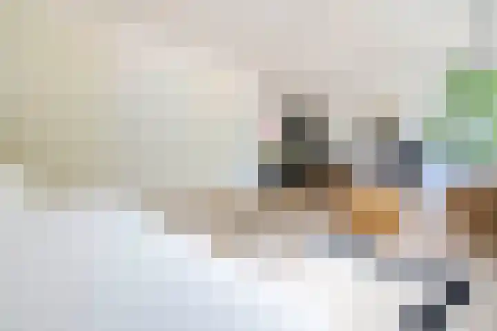 Eusebiusbuitensingel 20 4 Arnhem thumbnail 16