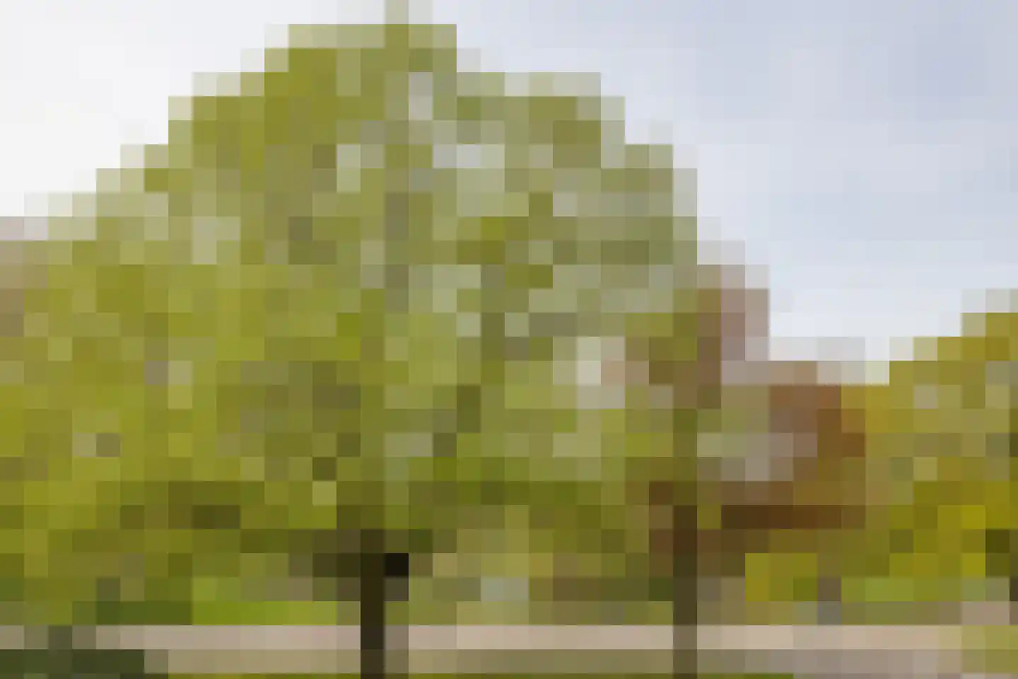 Eusebiusbuitensingel 20 7 Arnhem thumbnail 30