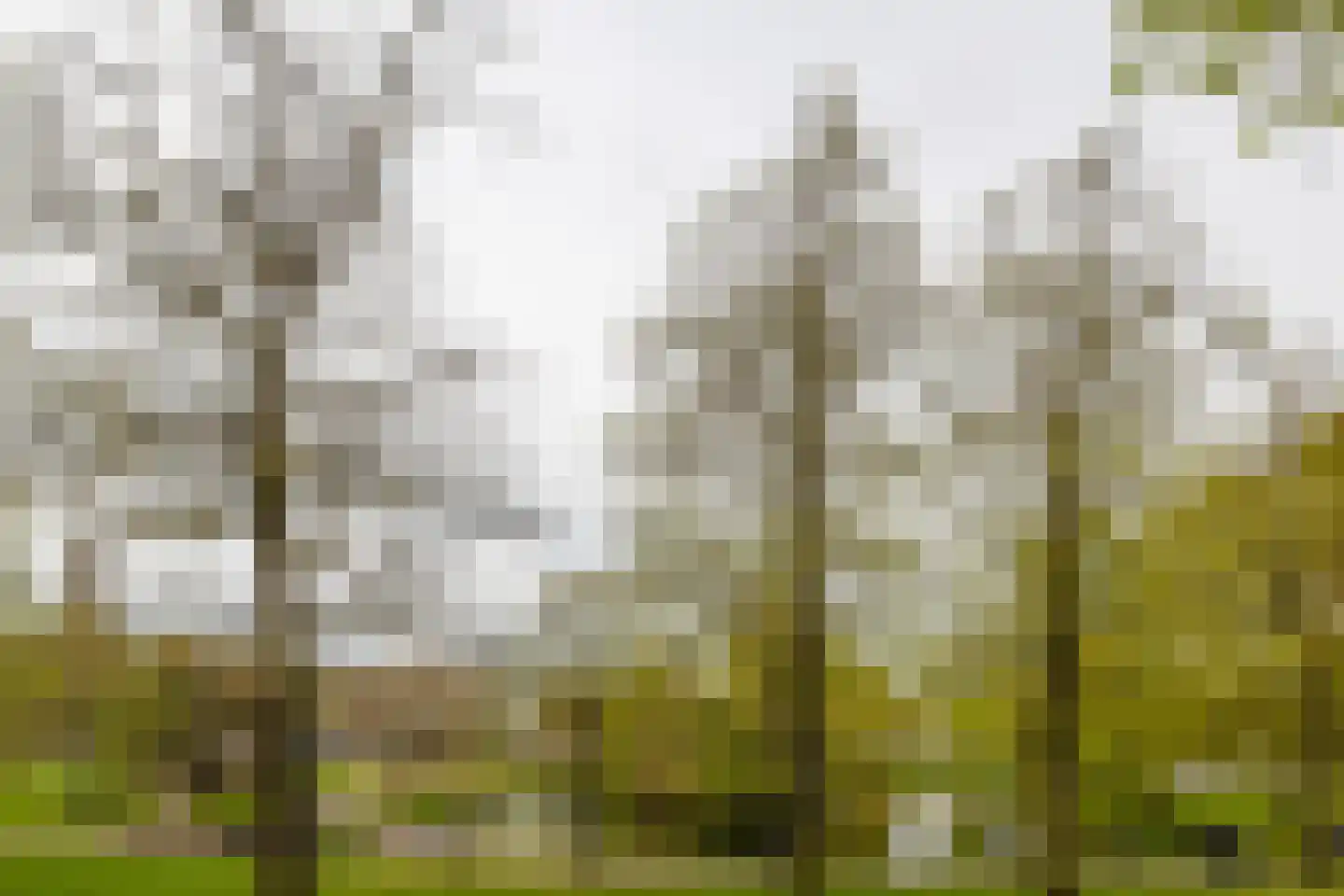 Eusebiusbuitensingel 20 7 Arnhem thumbnail 31