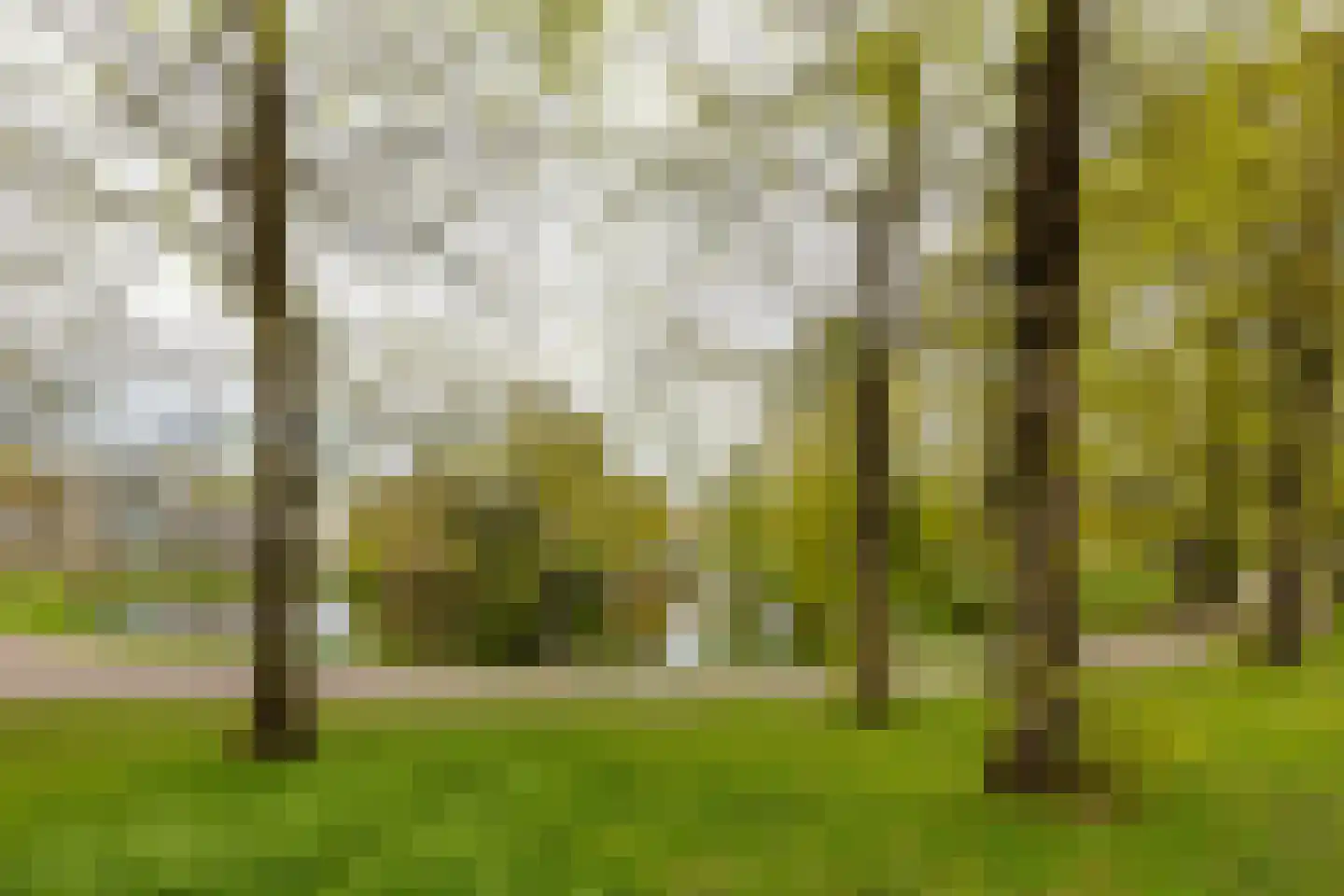 Eusebiusbuitensingel 20 7 Arnhem thumbnail 33