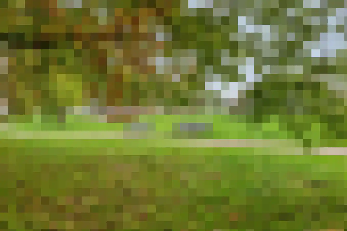 Eusebiusbuitensingel 23 3 Arnhem thumbnail 4