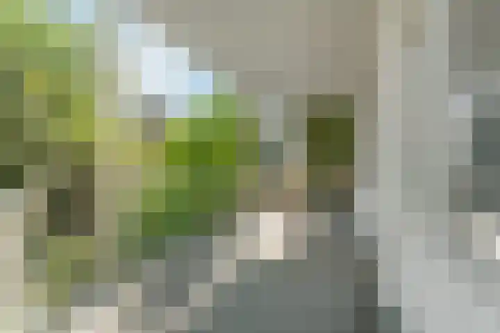 Eusebiusbuitensingel 24 1 Arnhem thumbnail 13