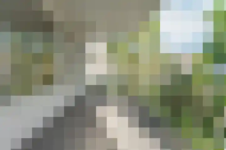 Eusebiusbuitensingel 24 1 Arnhem thumbnail 14