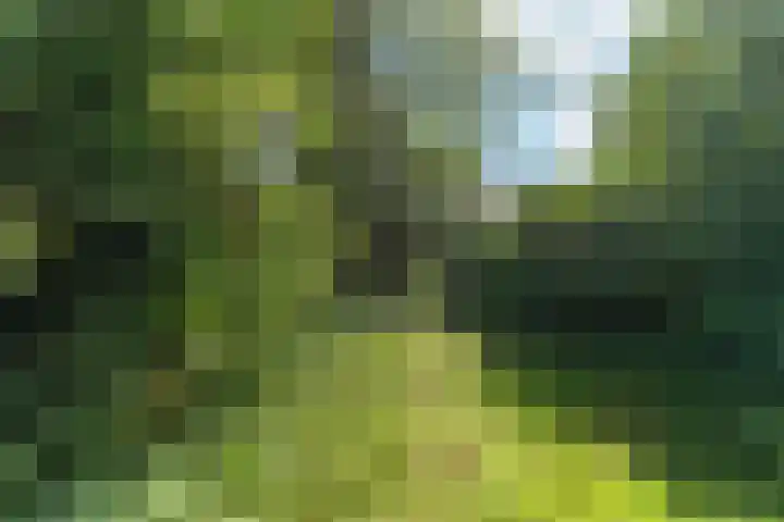 Eusebiusbuitensingel 24 1 Arnhem thumbnail 16