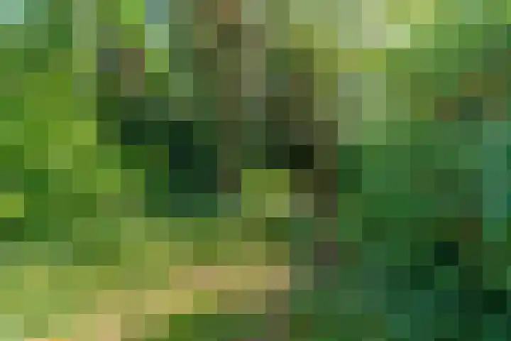 Eusebiusbuitensingel 24 1 Arnhem thumbnail 17