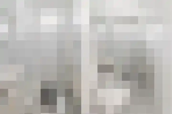 Eusebiusbuitensingel 24 1 Arnhem thumbnail 25