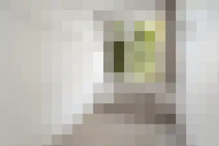 Eusebiusbuitensingel 24 1 Arnhem thumbnail 26