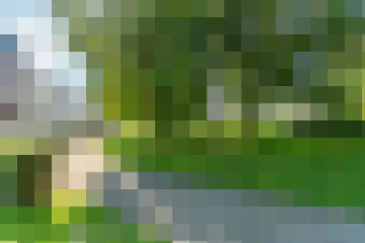 Eusebiusbuitensingel 24 1 Arnhem thumbnail 32