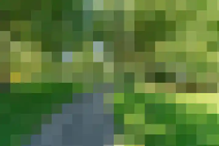 Eusebiusbuitensingel 24 1 Arnhem thumbnail 33