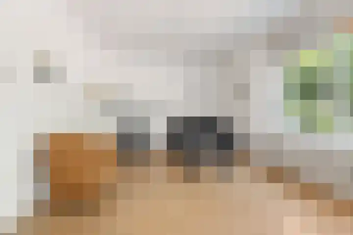 Eusebiusbuitensingel 24 1 Arnhem thumbnail 5